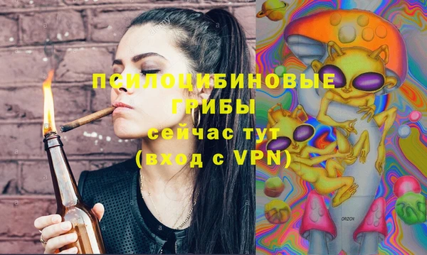 бошки Алексин